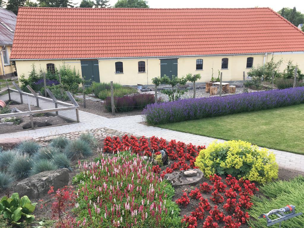 Birkende Bed And Breakfast Langeskov Exterior photo